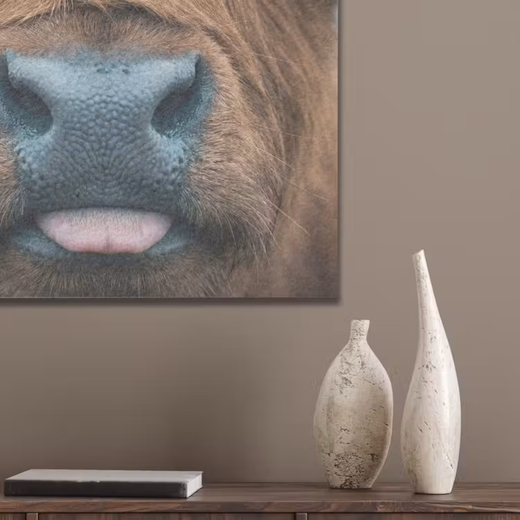 Schotse hooglander - Neus - Bruin PET vilt klein -sfeer6_closeup
