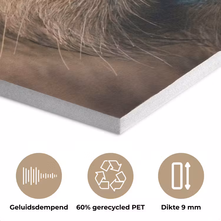 Schotse hooglander - Neus - Bruin PET vilt klein -closeup_NL
