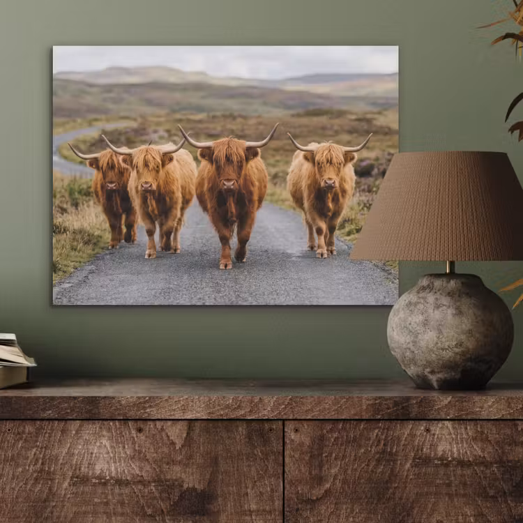 Schotse Hooglanders - Weg - Landschap - Kudde PET vilt klein -sfeer2