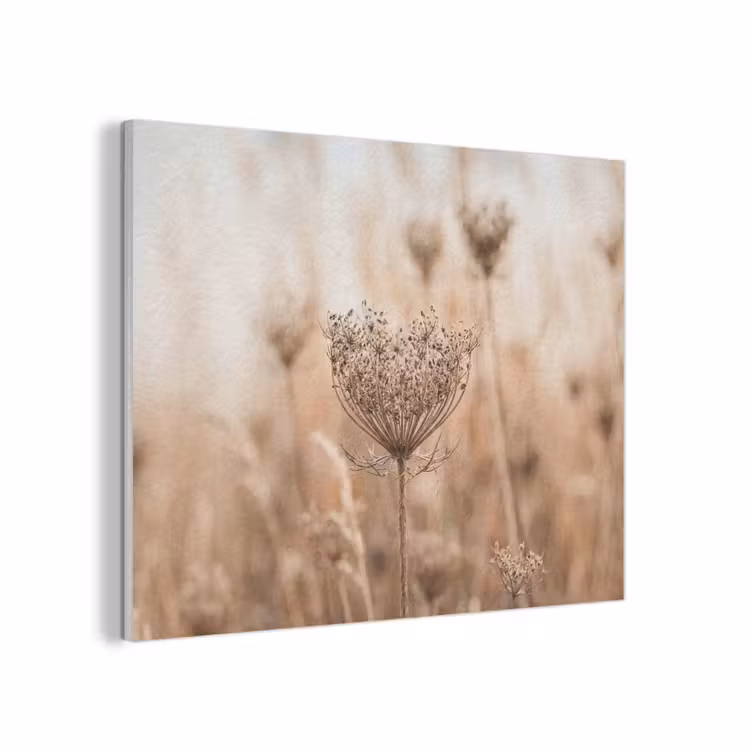 Schermbloem - Droogbloem - Winter - Beige - Minimalistisch PET vilt klein -3d