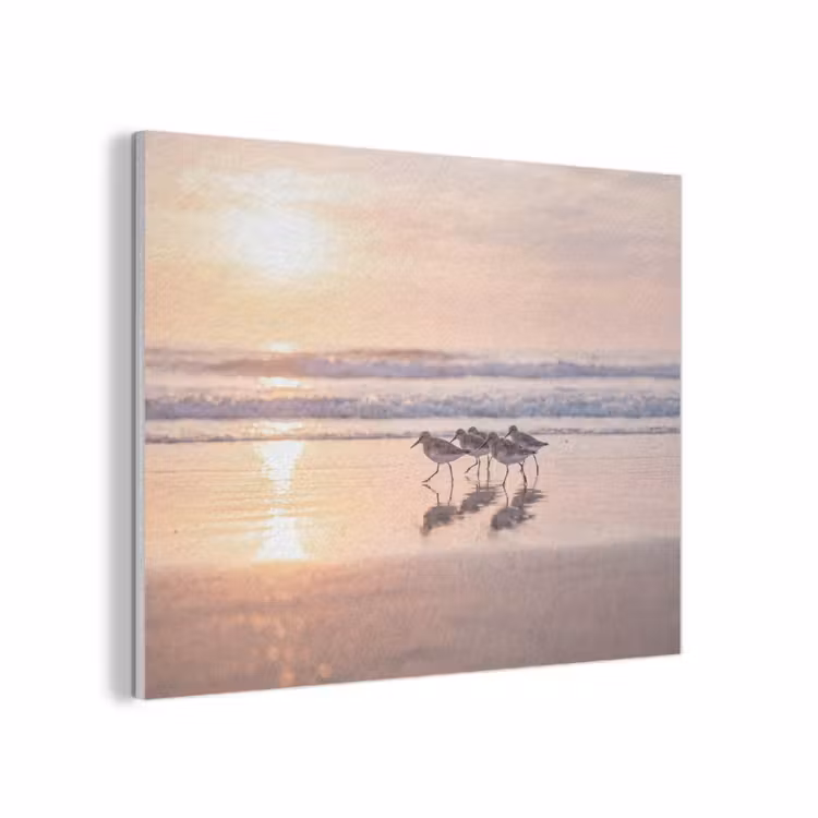 Zee - Vogels - Strand PET vilt klein -3d
