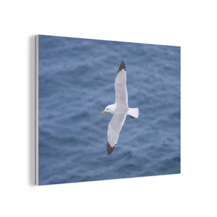 Zeemeeuw - Oceaan - Blauw PET vilt klein -3d