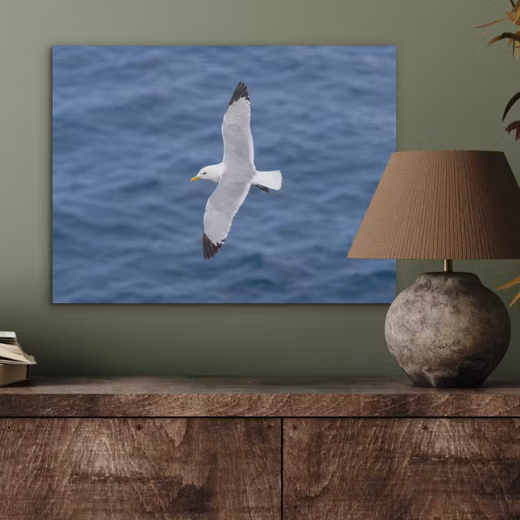 Zeemeeuw - Oceaan - Blauw PET vilt klein -sfeer2