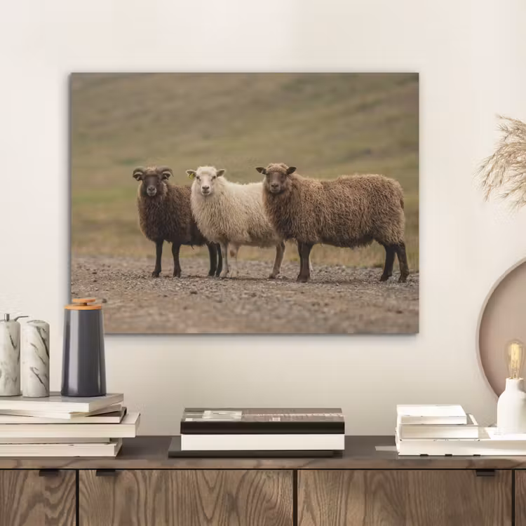 Schapen - Bruin - Wit - Grindpad PET vilt klein -sfeer1