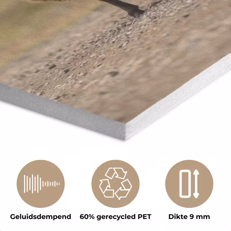 Schapen - Bruin - Wit - Grindpad PET vilt klein -closeup_NL