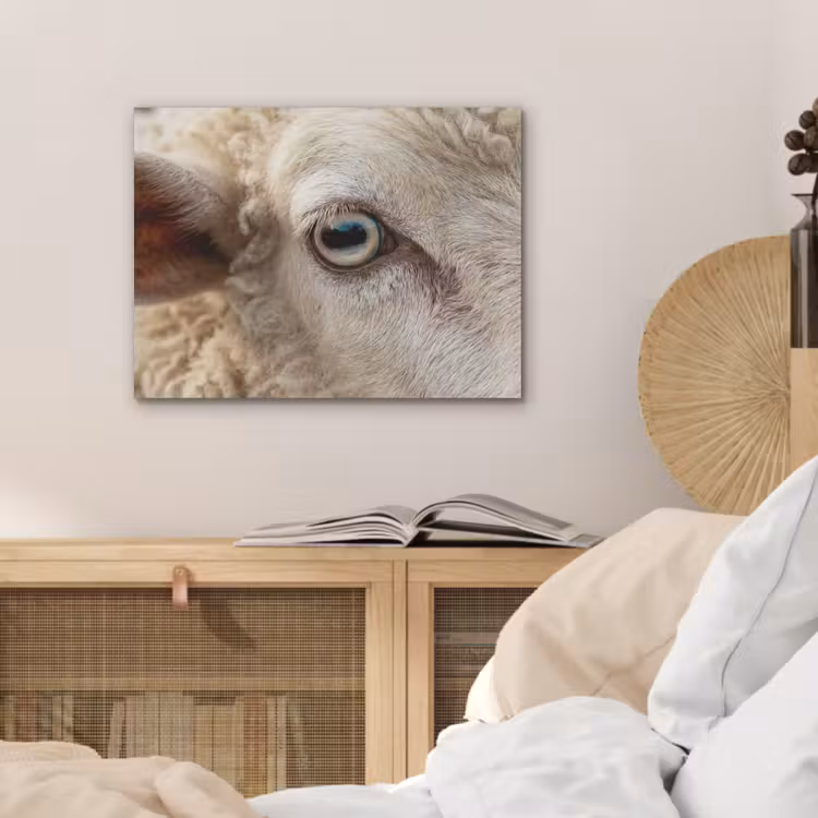 Schaap - Oog - Wit PET vilt klein -sfeer3