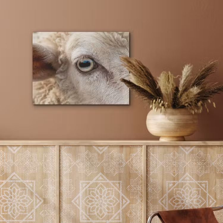 Schaap - Oog - Wit PET vilt klein -sfeer4