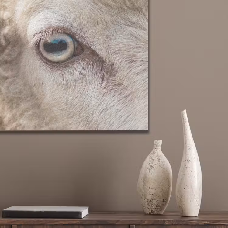 Schaap - Oog - Wit PET vilt klein -sfeer6_closeup