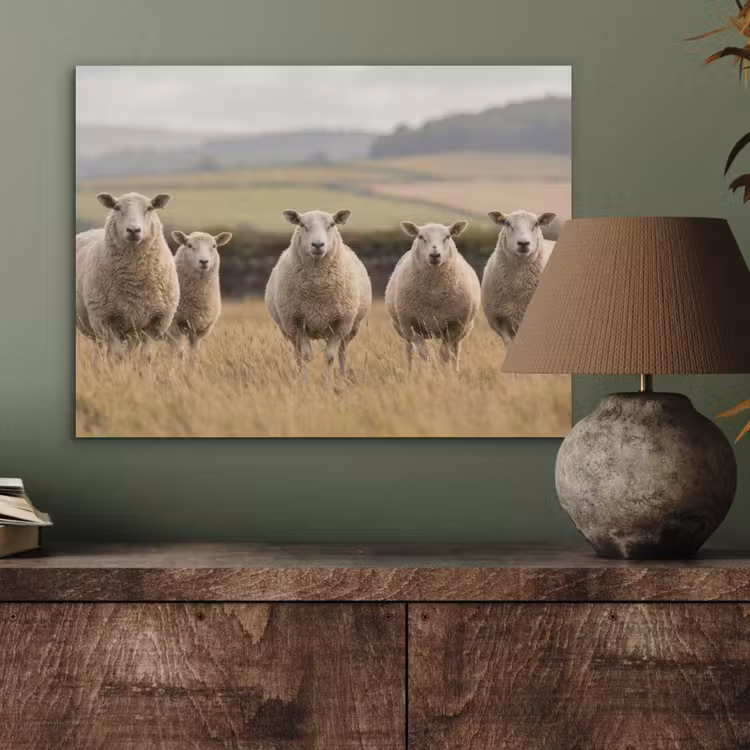 Schapen - Weidenlandschap - Heuvels PET vilt klein -sfeer2