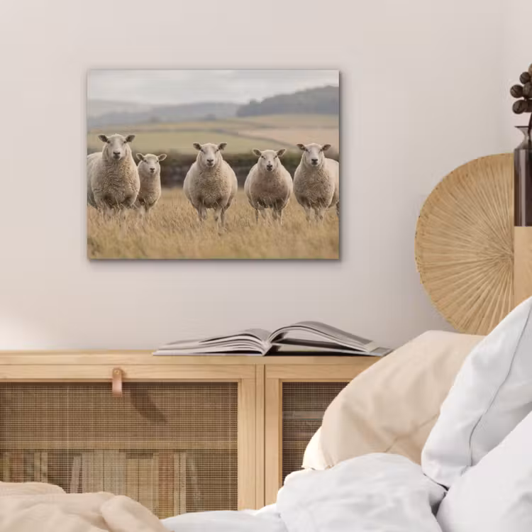Schapen - Weidenlandschap - Heuvels PET vilt klein -sfeer3