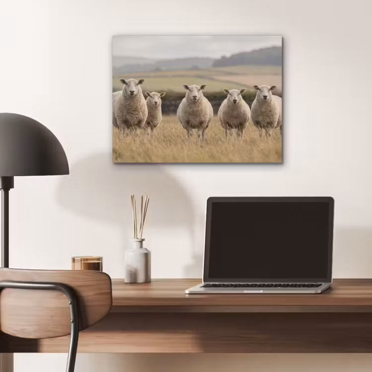 Schapen - Weidenlandschap - Heuvels PET vilt klein -sfeer5
