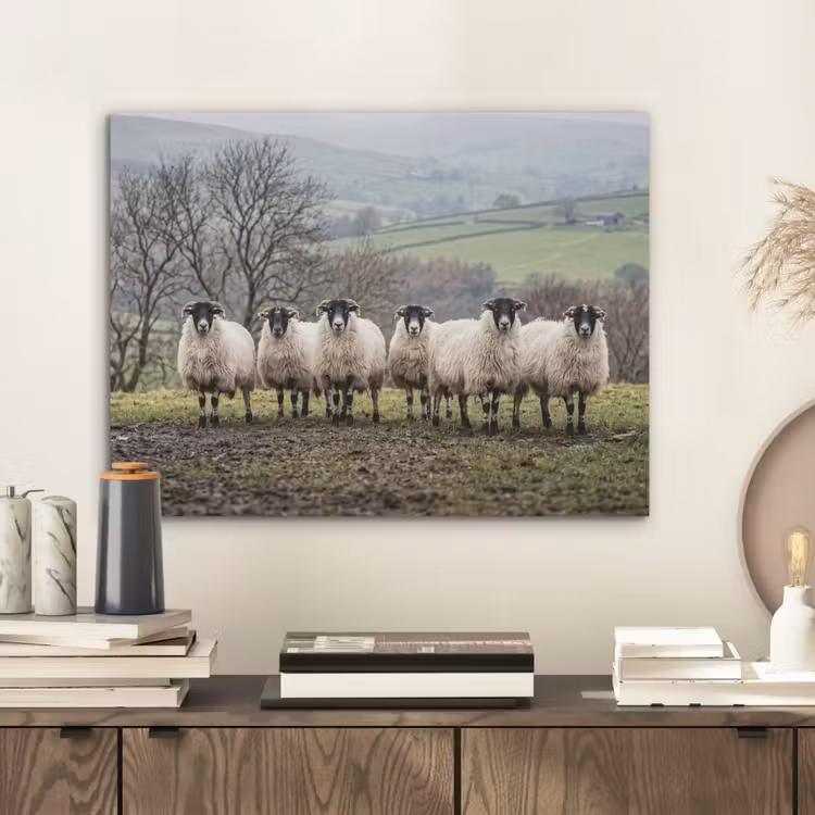 Schapen - Rij - Weide - Dieren - Platteland PET vilt klein -sfeer1