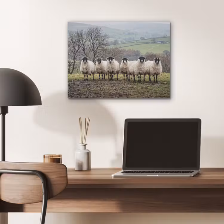 Schapen - Rij - Weide - Dieren - Platteland PET vilt klein -sfeer5