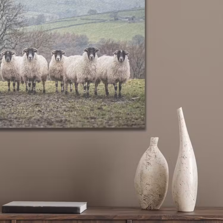 Schapen - Rij - Weide - Dieren - Platteland PET vilt klein -sfeer6_closeup