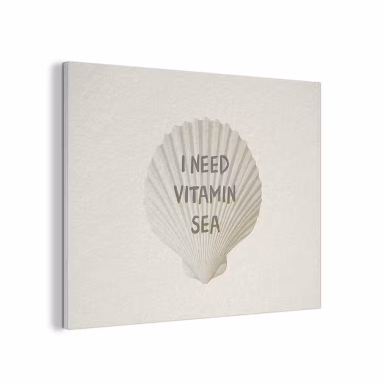 Schelp - Quote - Groen PET vilt klein -3d
