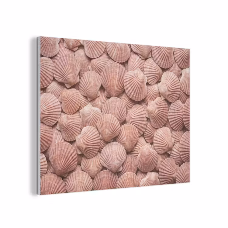 Schelpen - Patroon - Roze PET vilt klein -3d