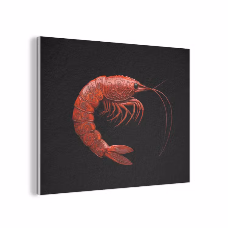 Garnaal - Rood - Dieren PET vilt klein -3d