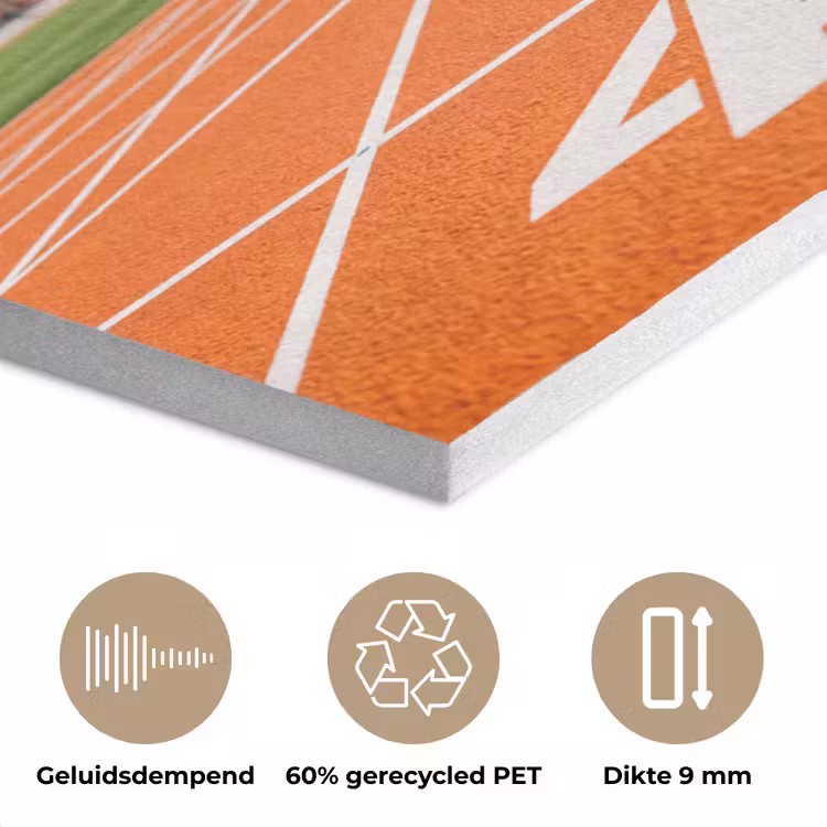 Sintelbaan - Stadion - Sport -Oranje PET vilt klein -closeup_NL