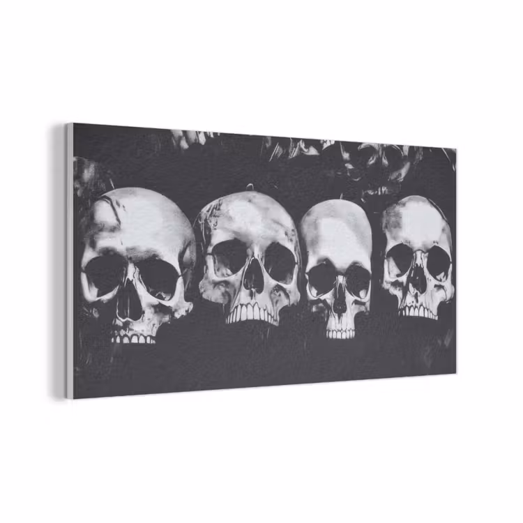 Schedels - Zwart - Contrast PET vilt middel -3d