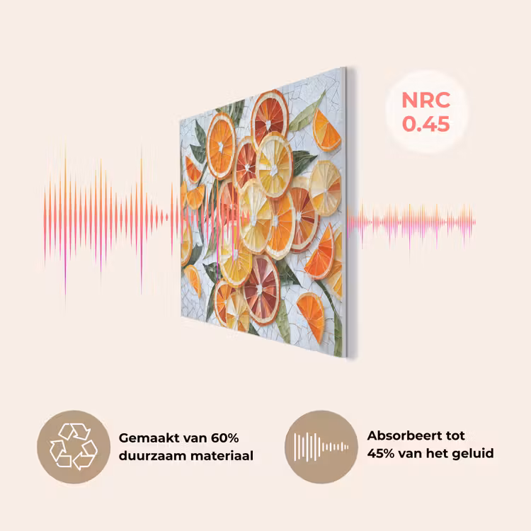 Schijfjes - Fruit - Oranje - Mozaïek PET vilt klein -USP_NL