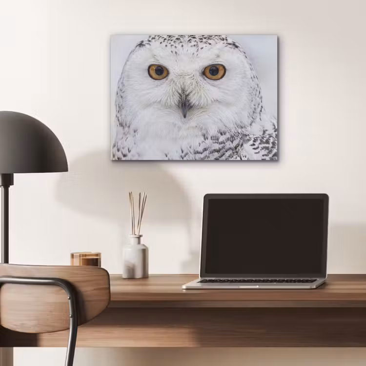 Sneeuwuil - Oog - Wildlife - Wit PET vilt klein -sfeer5