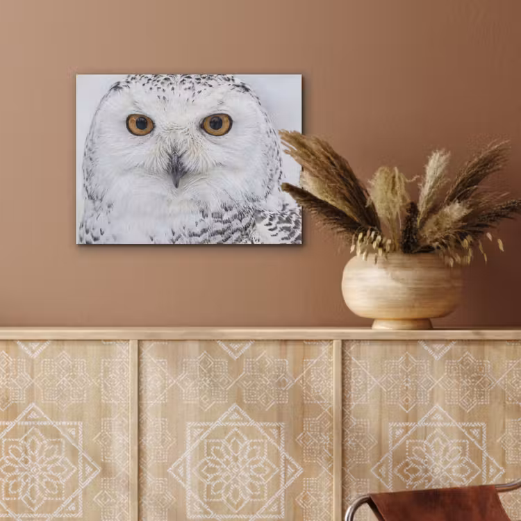 Sneeuwuil - Oog - Wildlife - Wit PET vilt klein -sfeer4