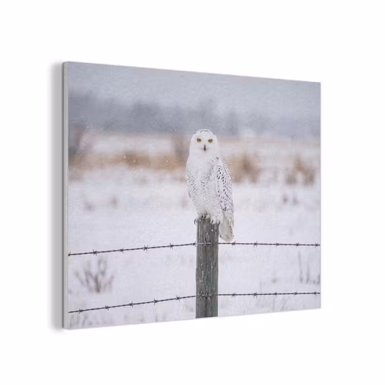 Sneeuwuil - Hek - Sneeuw - Wit PET vilt klein -3d