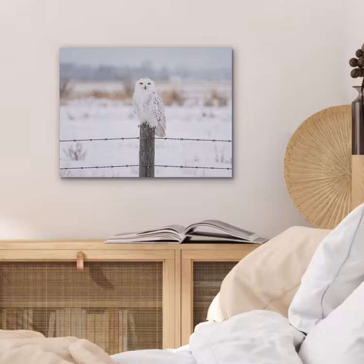 Sneeuwuil - Hek - Sneeuw - Wit PET vilt klein -sfeer3