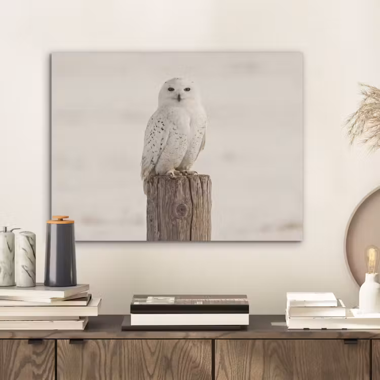 Sneeuwuil - Paal - Winter - Portret - Majestueus PET vilt klein -sfeer1