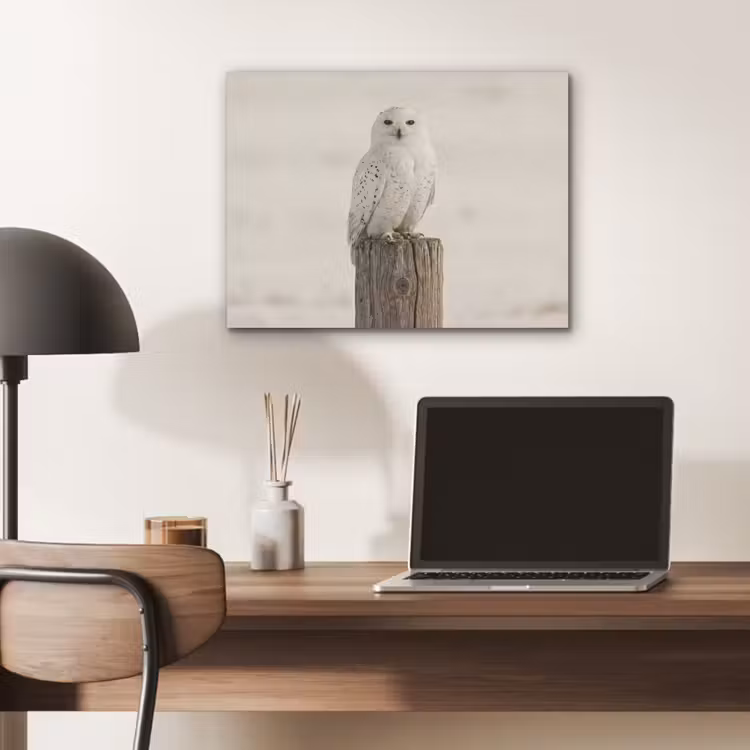 Sneeuwuil - Paal - Winter - Portret - Majestueus PET vilt klein -sfeer5