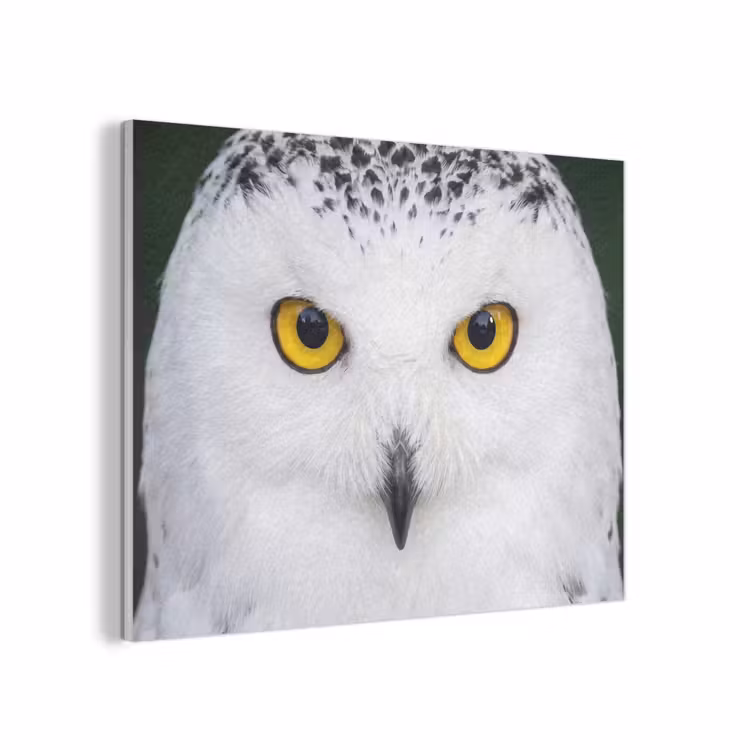 Sneeuwuil - Portret - Geel PET vilt klein -3d