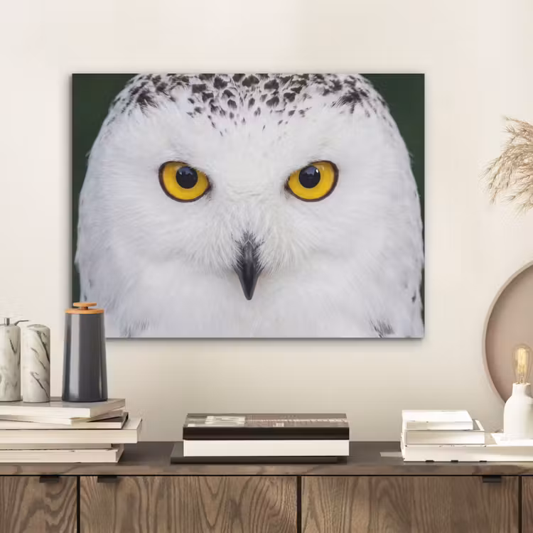 Sneeuwuil - Portret - Geel PET vilt klein -sfeer1