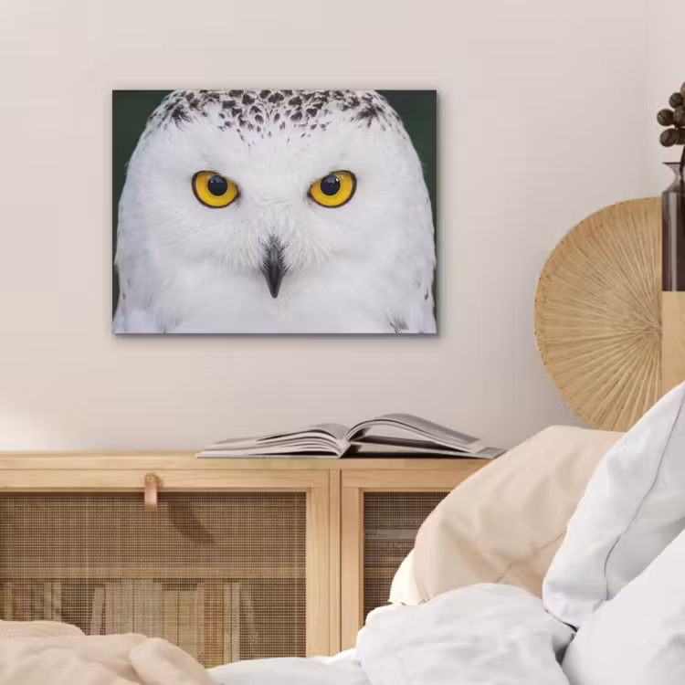 Sneeuwuil - Portret - Geel PET vilt klein -sfeer3