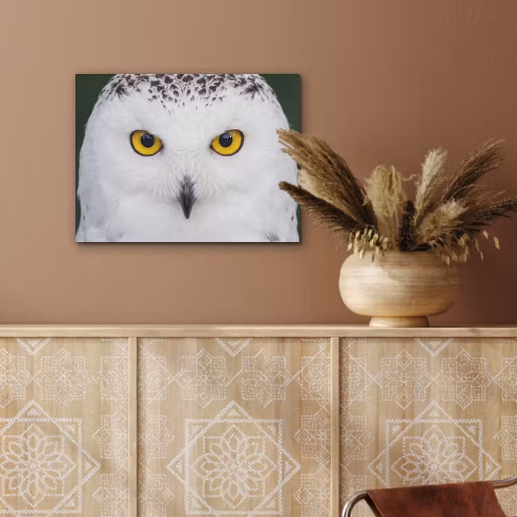 Sneeuwuil - Portret - Geel PET vilt klein -sfeer4