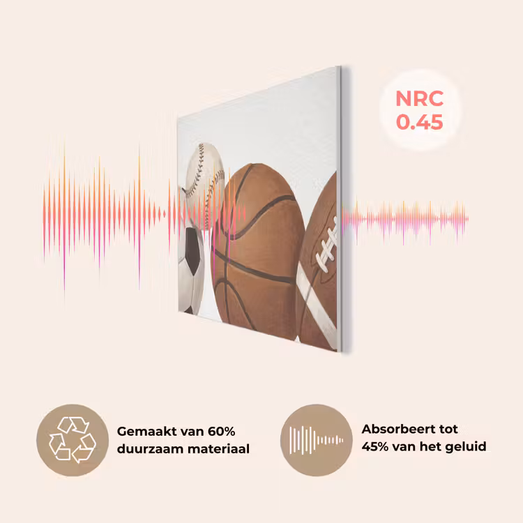 Sport - Ballen - Illustratie PET vilt klein -USP_NL