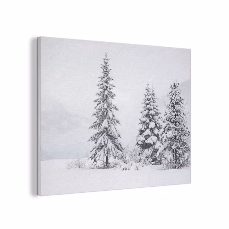 Fijnsparren - Sneeuw - Winter - Landschap - Stilte PET vilt klein -3d