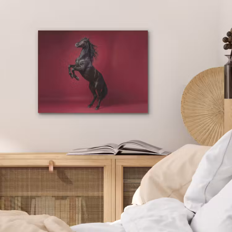 Hengst - Steigert - Rood PET vilt klein -sfeer3