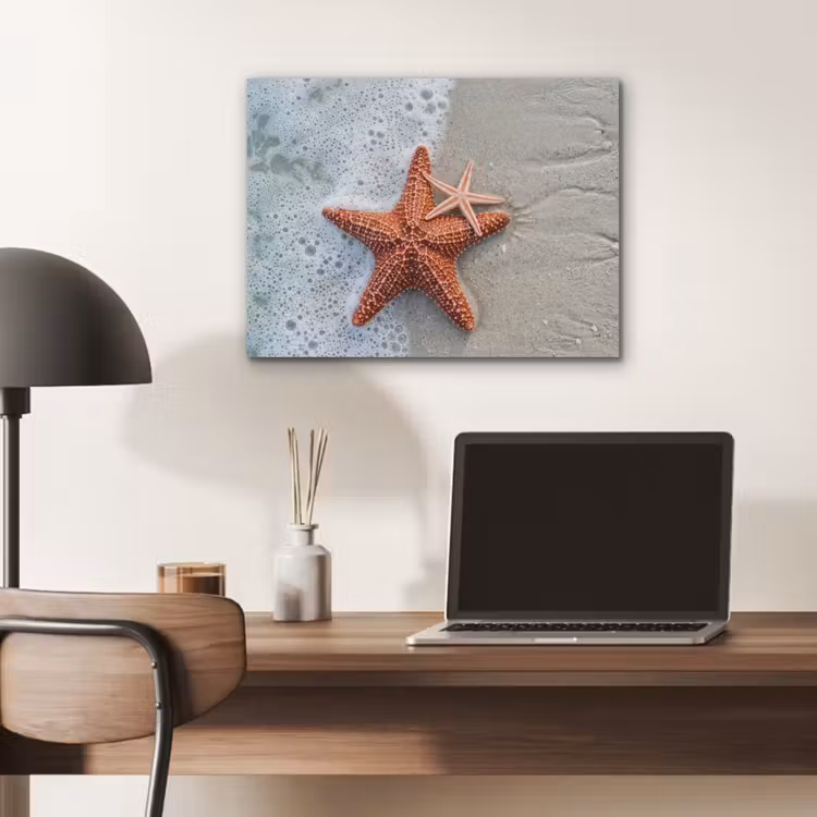 Zeester - Strand - Zee PET vilt klein -sfeer5