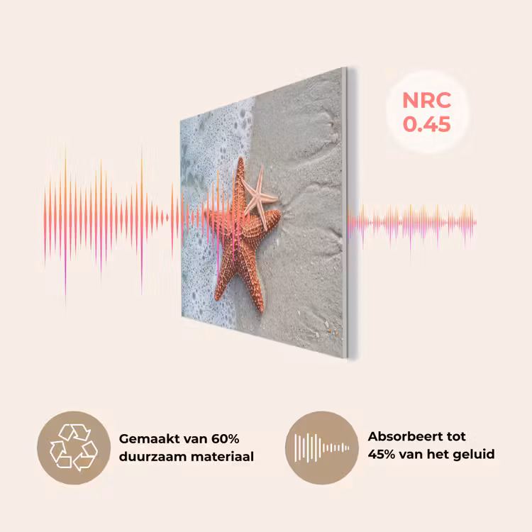 Zeester - Strand - Zee PET vilt klein -USP_NL