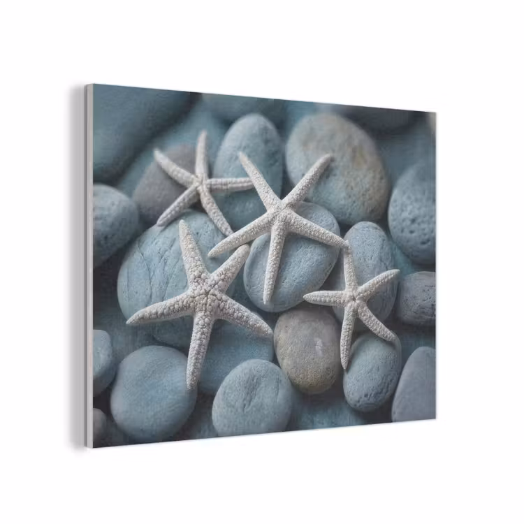 Zeesterren - Stenen - Wit PET vilt klein -3d