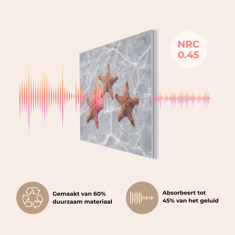 Zeesterren - Water - Helder PET vilt klein -USP_NL