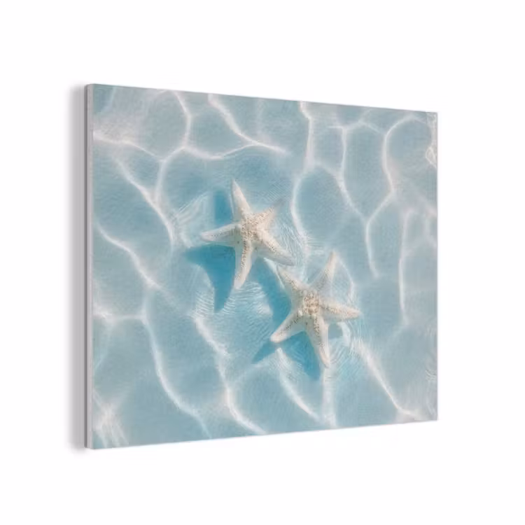 Zeesterren - Golvend water - Rustgevend PET vilt klein -3d
