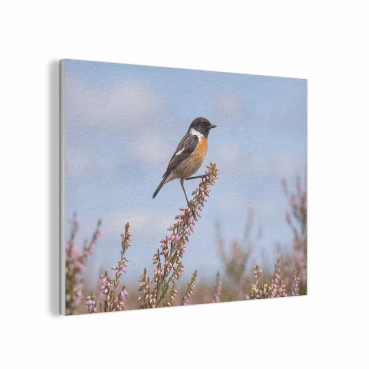 Roodborsttapuit - Heide - Paars - Natuur - Sfeervol PET vilt klein -3d