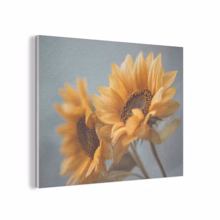 Zonnebloemen - Geel - Wazig PET vilt klein -3d