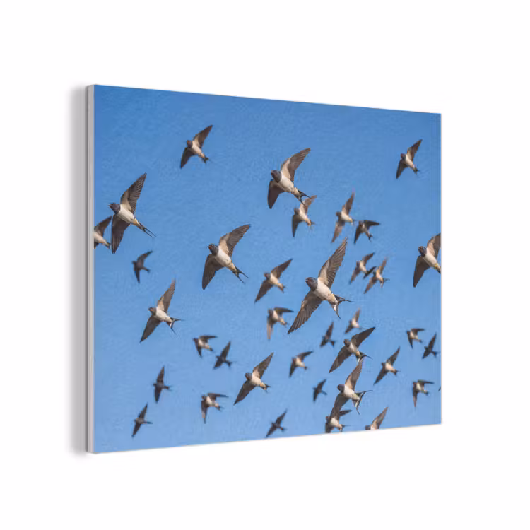 Zwaluwen - Vliegen - Blauw PET vilt klein -3d