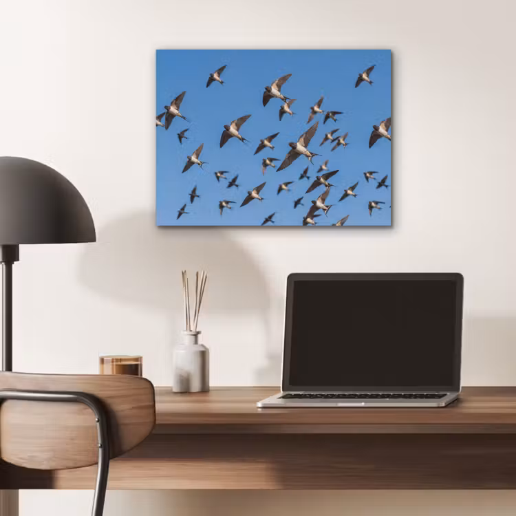 Zwaluwen - Vliegen - Blauw PET vilt klein -sfeer5