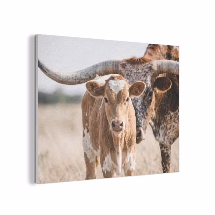 Texas Longhorn - Kalf - Weide - Dieren PET vilt klein -3d