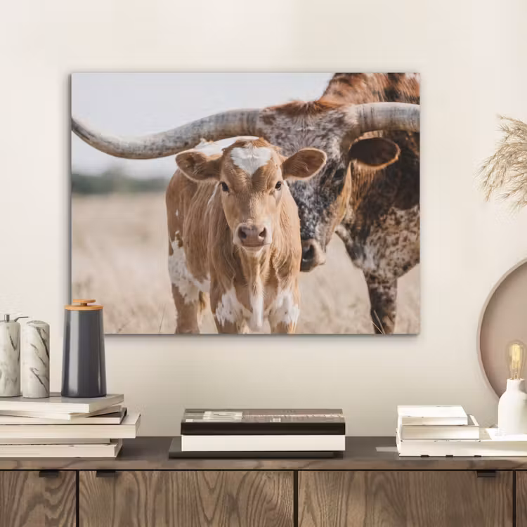 Texas Longhorn - Kalf - Weide - Dieren PET vilt klein -sfeer1