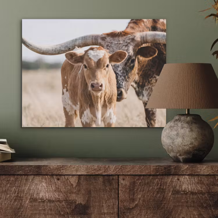 Texas Longhorn - Kalf - Weide - Dieren PET vilt klein -sfeer2