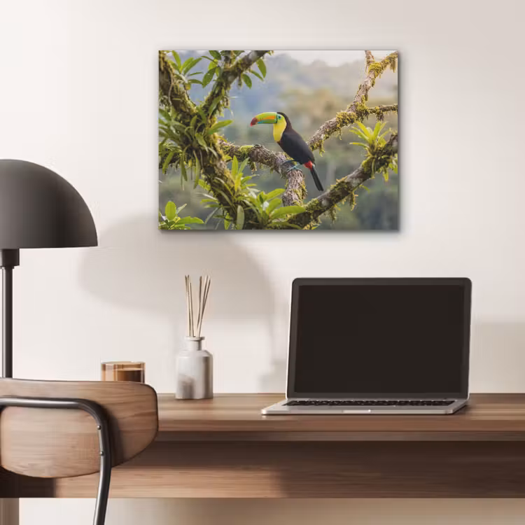 Toekan - Jungle - Natuur - Kleurrijk PET vilt klein -sfeer5